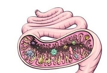 Worms in the stomach